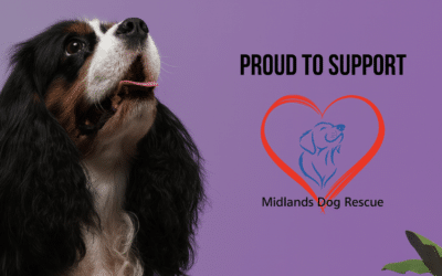 Supporting Our Community: Versalift’s Partnership with Midlands Dog Rescue