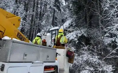 Winter Safety Checklist for Operators: Reducing Risk, Downtime & Damage