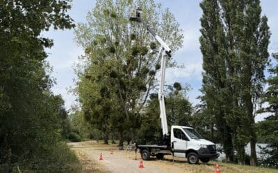 The New VA-200-F: Built around the way arborists work