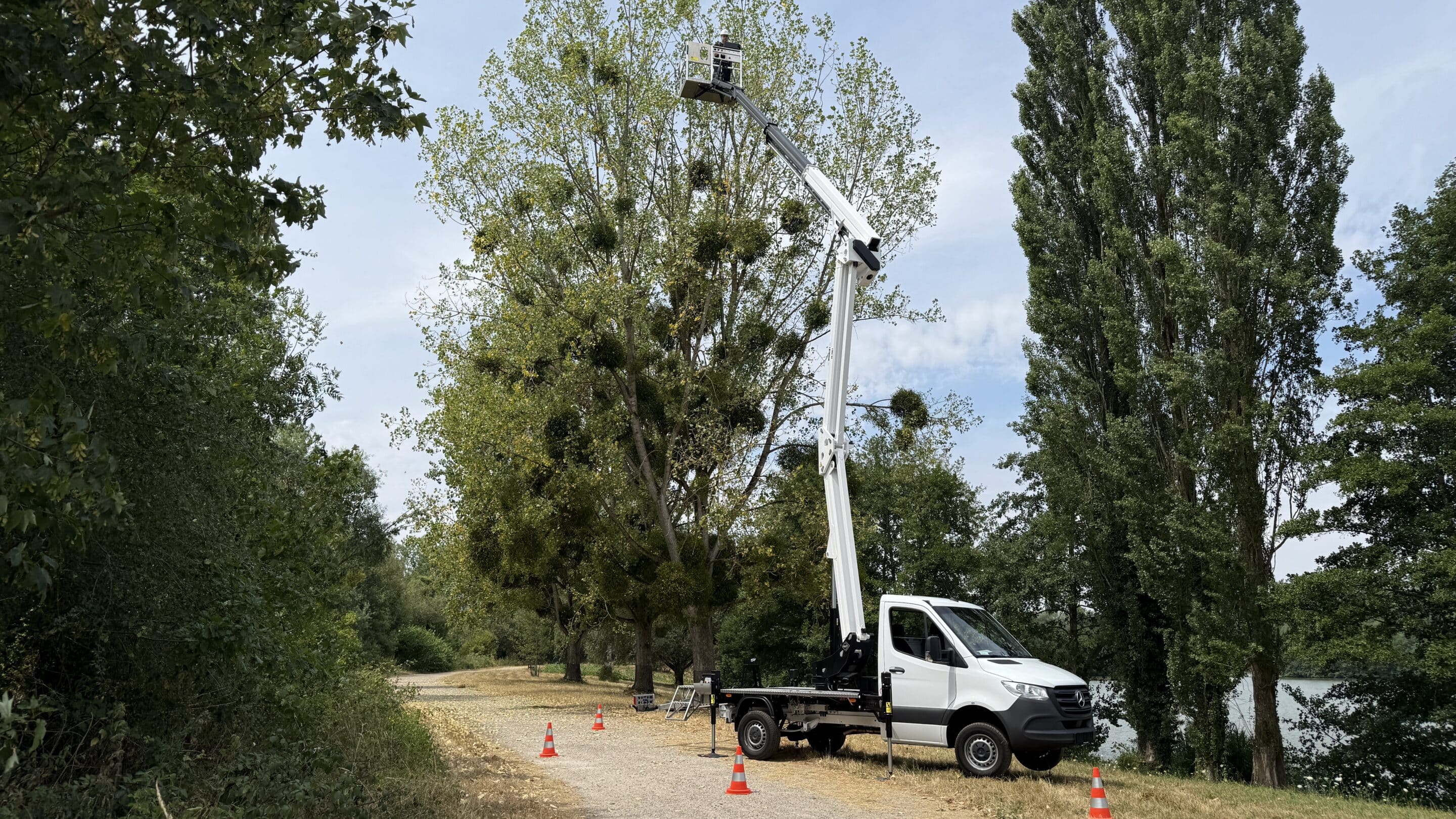 VA-200-F Arborist