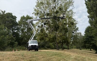 Is Working Height Really the Most Important Factor When Choosing an Access Platform?